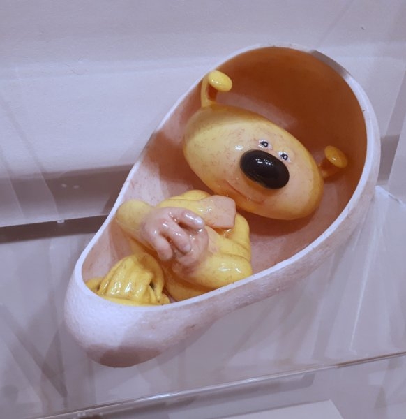 oeuf-de-marsupilami-arnaud-rafaelian-3576