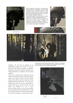 5 branches de coton noir .docx